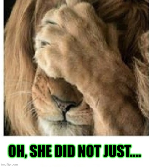 she did not | OH, SHE DID NOT JUST.... | image tagged in sarcasm | made w/ Imgflip meme maker