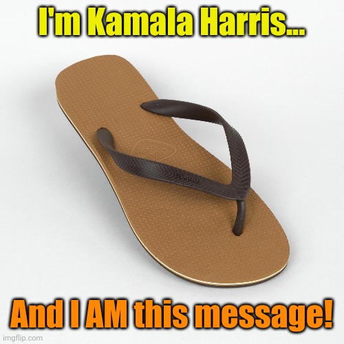 Does she flip? Or does she flop? Nobody knows!! | I'm Kamala Harris... And I AM this message! | made w/ Imgflip meme maker