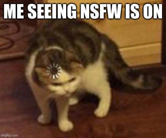 Loading cat | ME SEEING NSFW IS ON | image tagged in loading cat | made w/ Imgflip meme maker