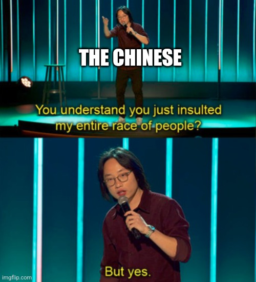 You do understand you just insulted my entire race of people? | THE CHINESE | image tagged in you do understand you just insulted my entire race of people | made w/ Imgflip meme maker