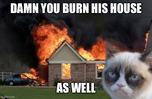 Burn Kitty Meme | DAMN YOU BURN HIS HOUSE AS WELL | image tagged in memes,burn kitty,grumpy cat | made w/ Imgflip meme maker