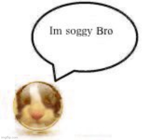 im soggy bro ball | image tagged in im soggy bro ball | made w/ Imgflip meme maker