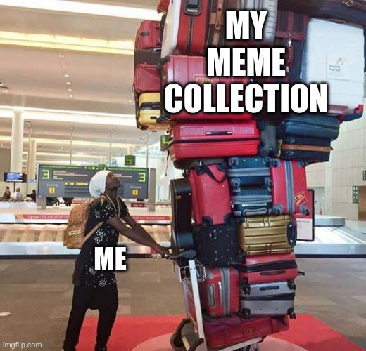 collection | MY MEME COLLECTION; ME | image tagged in so true memes | made w/ Imgflip meme maker