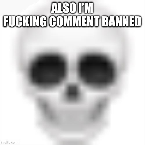 If yall were wondering why I wasn’t replying | ALSO I’M FUCKING COMMENT BANNED | image tagged in skull emoji | made w/ Imgflip meme maker