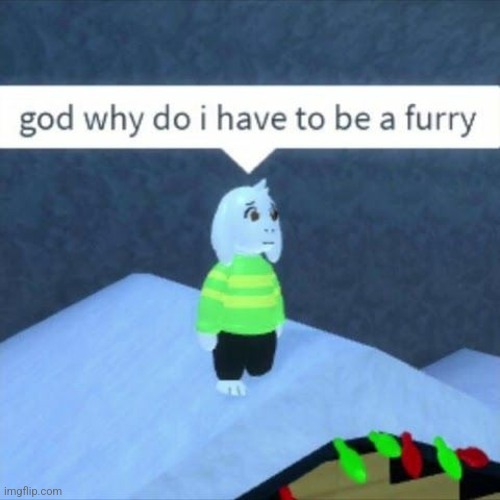 Why do I have to be a furry Blank Meme Template