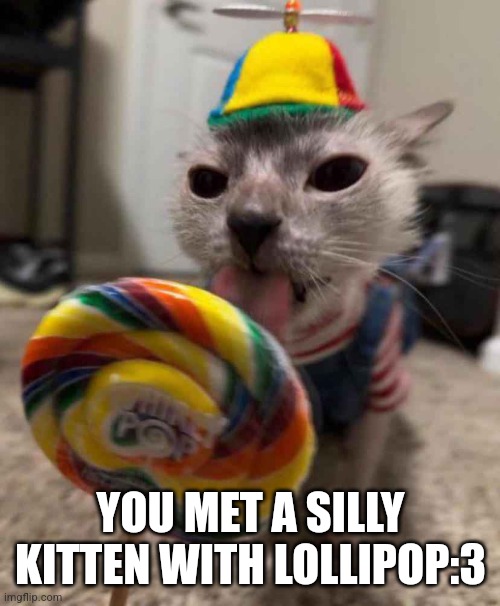 Kitten with lollipop | YOU MET A SILLY KITTEN WITH LOLLIPOP:3 | image tagged in funny,memes,cats,kitten,fun,cute cat | made w/ Imgflip meme maker