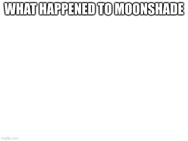 WHAT HAPPENED TO MOONSHADE | made w/ Imgflip meme maker