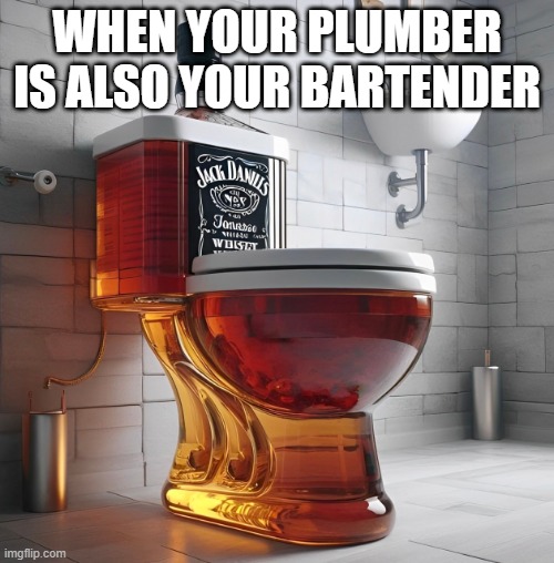 plumber | bartender | WHEN YOUR PLUMBER IS ALSO YOUR BARTENDER | image tagged in memes | made w/ Imgflip meme maker