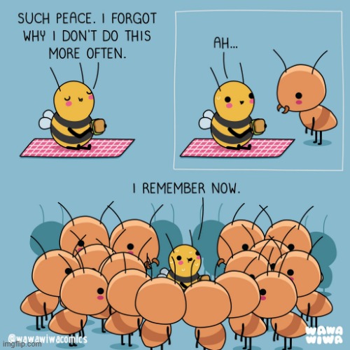 image tagged in bee,picnic,sandwich,ant,ants,surrounded | made w/ Imgflip meme maker