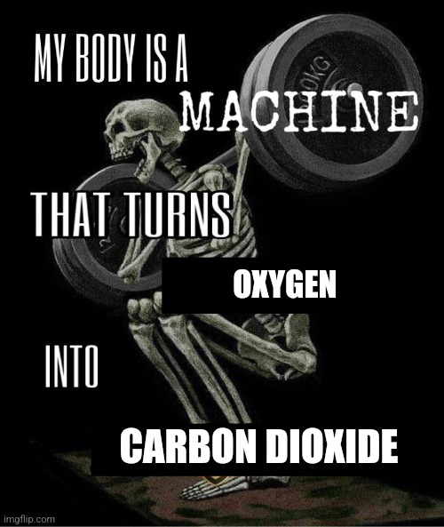 Me:? | OXYGEN; CARBON DIOXIDE | image tagged in my body is machine | made w/ Imgflip meme maker