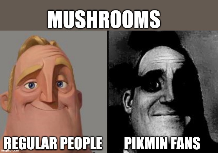 Traumatized Mr. Incredible | MUSHROOMS; REGULAR PEOPLE; PIKMIN FANS | image tagged in traumatized mr incredible | made w/ Imgflip meme maker