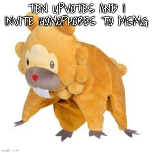 Bidoof | TEN UPVOTES AND I INVITE HOMOPHOBES TO MSMG | image tagged in bidoof | made w/ Imgflip meme maker