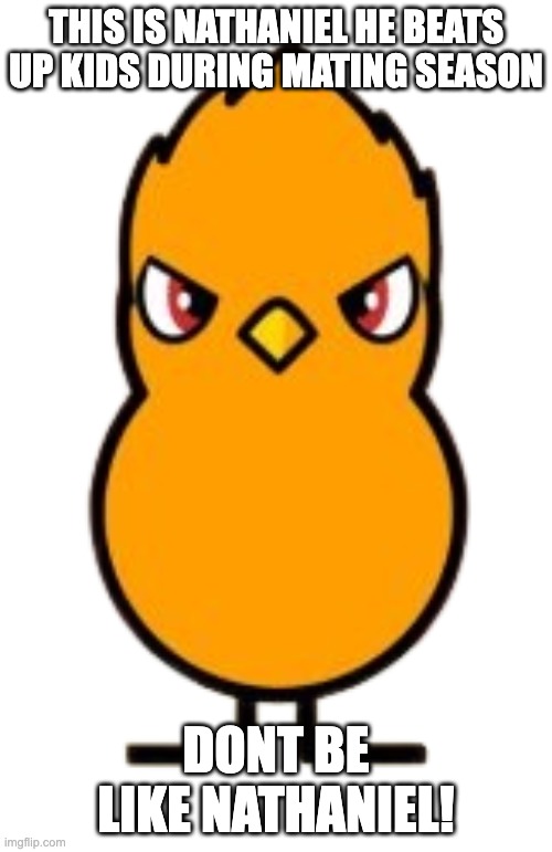 Nathaniel the duck (transparent) | THIS IS NATHANIEL HE BEATS UP KIDS DURING MATING SEASON; DONT BE LIKE NATHANIEL! | image tagged in nathaniel the duck transparent | made w/ Imgflip meme maker