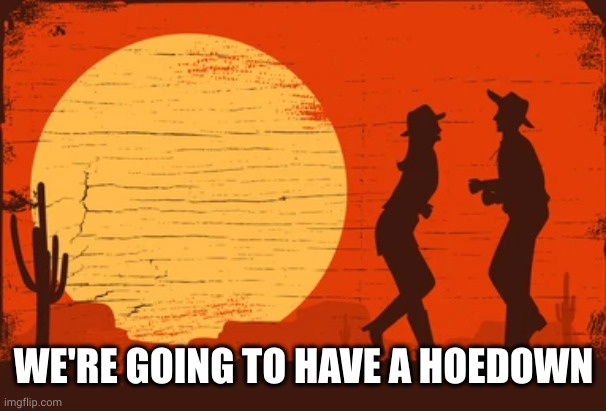 Hoedown | WE'RE GOING TO HAVE A HOEDOWN | image tagged in hoedown | made w/ Imgflip meme maker