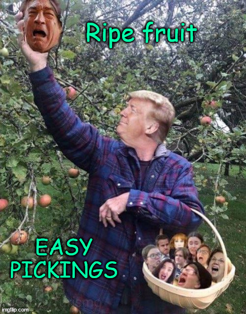 Easy pickings...   all they have is hate | image tagged in triggered libs | made w/ Imgflip meme maker