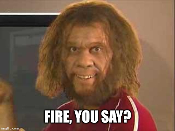 caveman | FIRE, YOU SAY? | image tagged in caveman | made w/ Imgflip meme maker