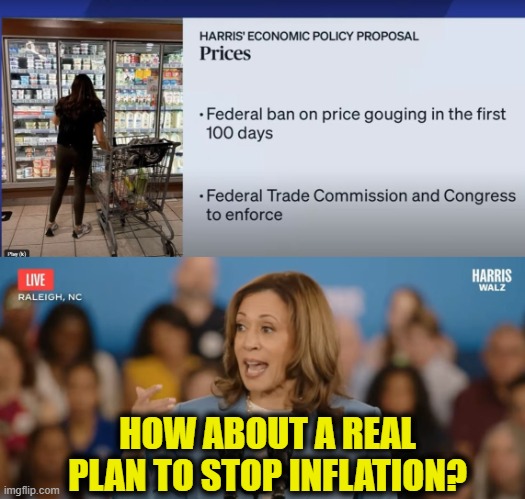 More Leftist Logic | HOW ABOUT A REAL PLAN TO STOP INFLATION? | image tagged in communist socialist | made w/ Imgflip meme maker