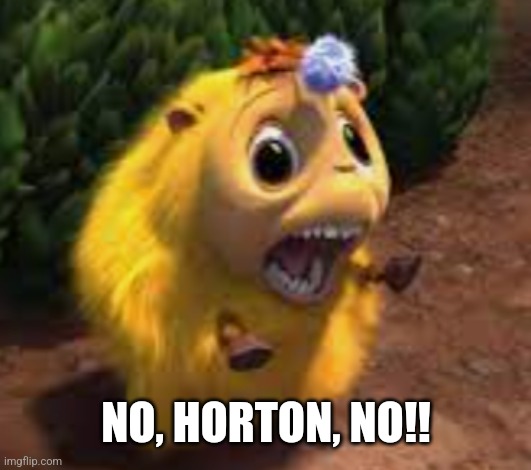 Katie | NO, HORTON, NO!! | image tagged in katie | made w/ Imgflip meme maker