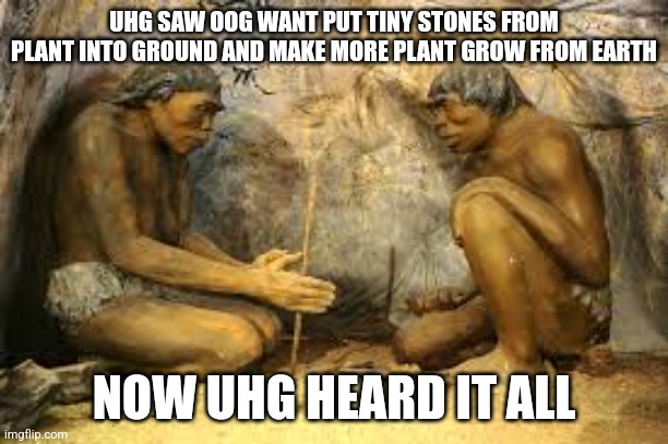 caveman fire | UHG SAW OOG WANT PUT TINY STONES FROM PLANT INTO GROUND AND MAKE MORE PLANT GROW FROM EARTH; NOW UHG HEARD IT ALL | image tagged in caveman fire,agriculture | made w/ Imgflip meme maker