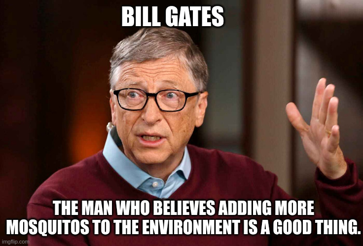 Mosquito Bill | BILL GATES; THE MAN WHO BELIEVES ADDING MORE MOSQUITOS TO THE ENVIRONMENT IS A GOOD THING. | image tagged in memes | made w/ Imgflip meme maker