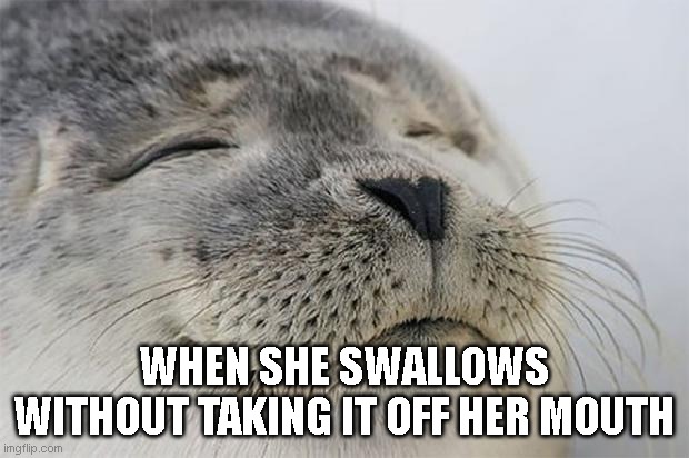 kinky | WHEN SHE SWALLOWS WITHOUT TAKING IT OFF HER MOUTH | image tagged in memes,satisfied seal | made w/ Imgflip meme maker