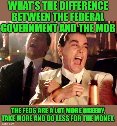 Just the facts jack | WHAT’S THE DIFFERENCE BETWEEN THE FEDERAL GOVERNMENT AND THE MOB; THE FEDS ARE A LOT MORE GREEDY, TAKE MORE AND DO LESS FOR THE MONEY. | image tagged in memes,good fellas hilarious | made w/ Imgflip meme maker