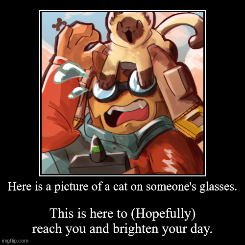 Here is a picture of a cat on someone's glasses. | This is here to (Hopefully) reach you and brighten your day. | image tagged in funny,demotivationals | made w/ Imgflip demotivational maker