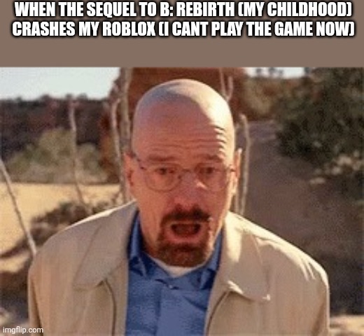 Walter White | WHEN THE SEQUEL TO B: REBIRTH (MY CHILDHOOD) CRASHES MY ROBLOX (I CANT PLAY THE GAME NOW) | image tagged in walter white | made w/ Imgflip meme maker