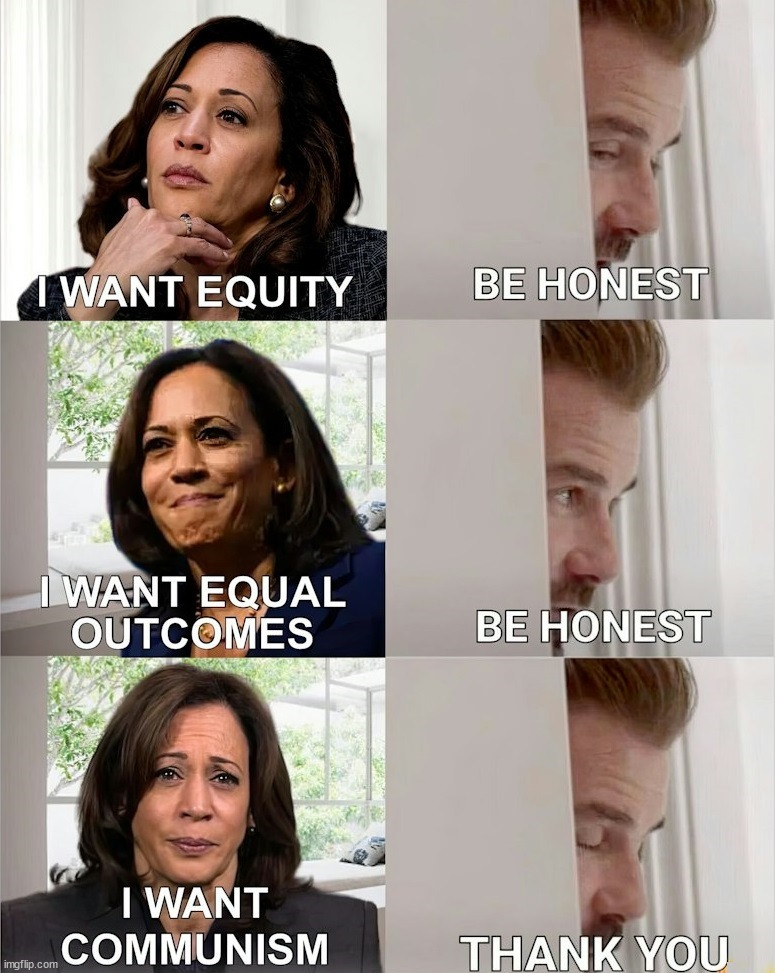 Truth | image tagged in kamala harris | made w/ Imgflip meme maker
