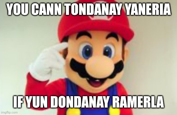 ㅤ | YOU CANN TONDANAY YANERIA; IF YUN DONDANAY RAMERLA | image tagged in mario think about it | made w/ Imgflip meme maker