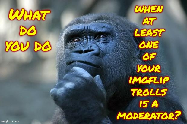 Imgflip Moderator Trolls | when
at
least
one
of
your
imgflip
trolls
is a
moderator? What
do
you do | image tagged in deep thoughts,meanwhile on imgflip,imgflip mods,imgflip trolls,the daily struggle imgflip edition,memes | made w/ Imgflip meme maker