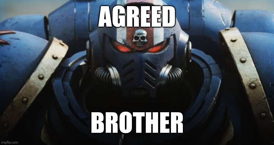 Space Marine | AGREED BROTHER | image tagged in space marine | made w/ Imgflip meme maker