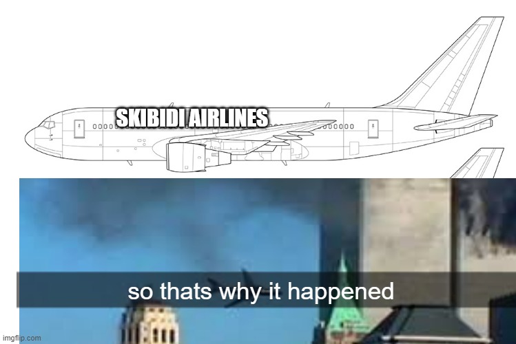 plen | SKIBIDI AIRLINES; so thats why it happened | image tagged in plen | made w/ Imgflip meme maker