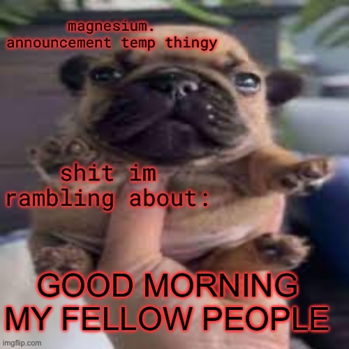 pug temp | GOOD MORNING MY FELLOW PEOPLE | image tagged in pug temp | made w/ Imgflip meme maker