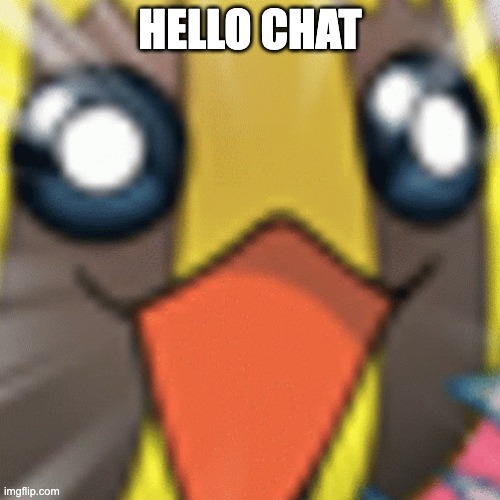 sunkern pog | HELLO CHAT | image tagged in sunkern pog | made w/ Imgflip meme maker