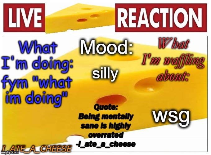 . | silly; fym "what im doing"; wsg | made w/ Imgflip meme maker