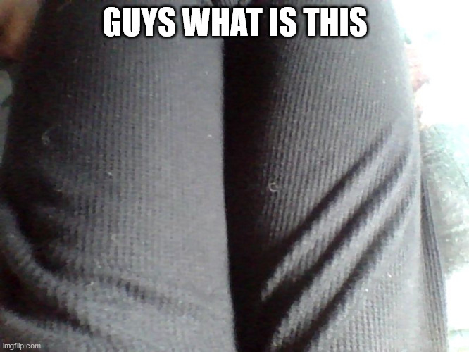 GUYS WHAT IS THIS | image tagged in potassium thighs | made w/ Imgflip meme maker