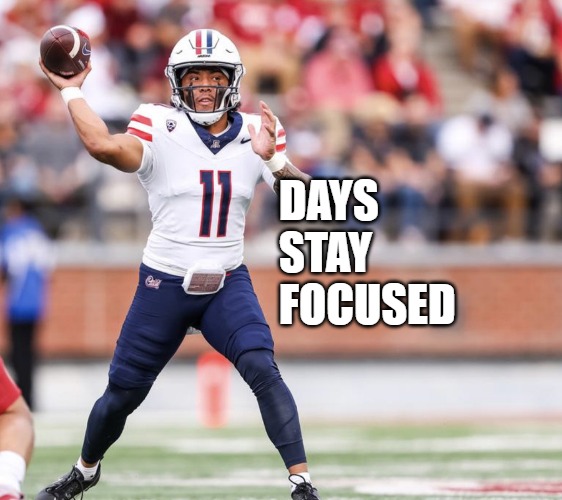 11 days fifita | DAYS 
STAY
FOCUSED | image tagged in fifita,arizona football | made w/ Imgflip meme maker