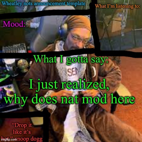 Wheatley nots snoop dogg temp lol | I just realized, why does nat mod here | image tagged in wheatley nots snoop dogg temp lol | made w/ Imgflip meme maker