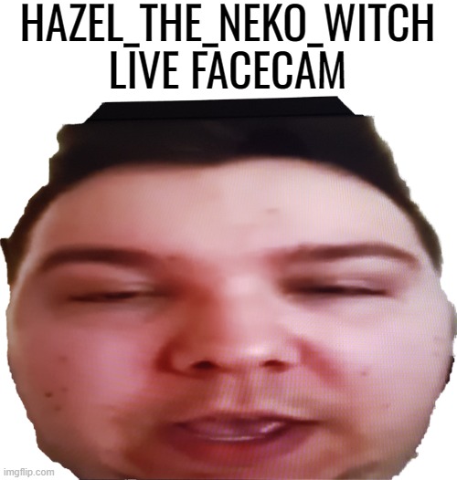 Avocado nickokado | HAZEL_THE_NEKO_WITCH LIVE FACECAM | image tagged in avocado nickokado | made w/ Imgflip meme maker