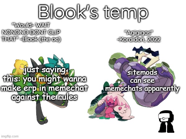 Blook's temp (August '24) | sitemods can see memechats apparently; just saying this: you might wanna make erp in memechat against the rules | image tagged in blook's temp august '24 | made w/ Imgflip meme maker