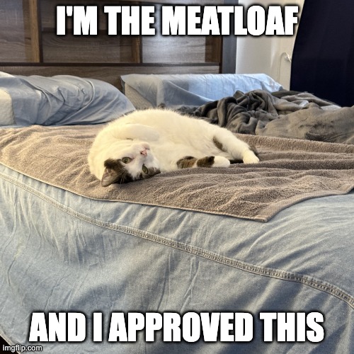 I'm the Meatloaf | I'M THE MEATLOAF; AND I APPROVED THIS | image tagged in meatloaf cat,cat lying on side,cat looking at you,large silly cat | made w/ Imgflip meme maker