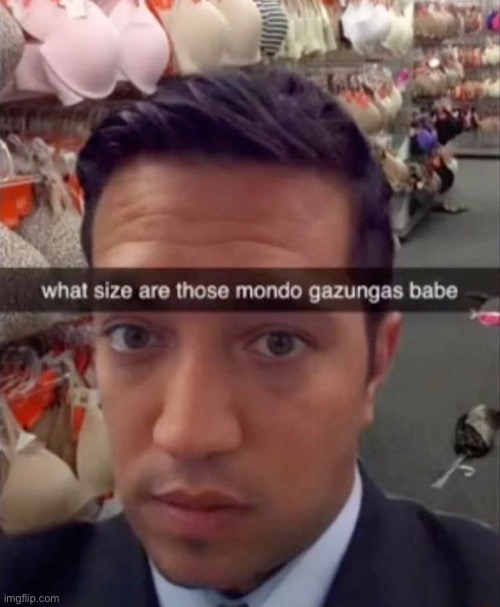 in the bra aisle, what size tits you wear | made w/ Imgflip meme maker