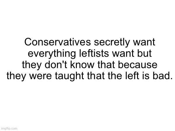 Left wing | Conservatives secretly want everything leftists want but they don't know that because they were taught that the left is bad. | image tagged in leftist,left wing,conservatives,conservative | made w/ Imgflip meme maker