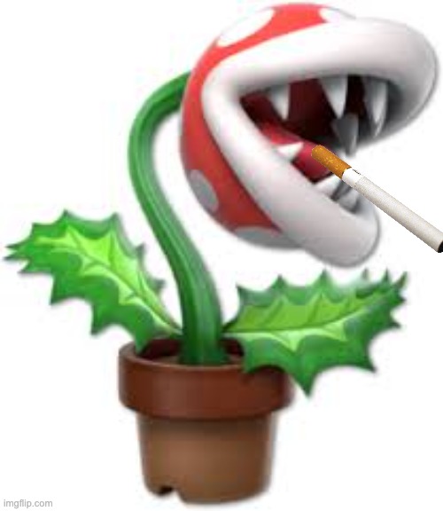 piranha plant | image tagged in piranha plant | made w/ Imgflip meme maker