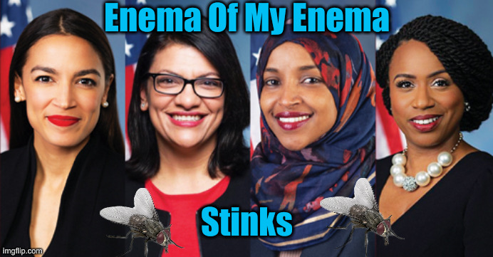 U.S. Needs an Enema | Enema Of My Enema Stinks | image tagged in u s needs an enema | made w/ Imgflip meme maker