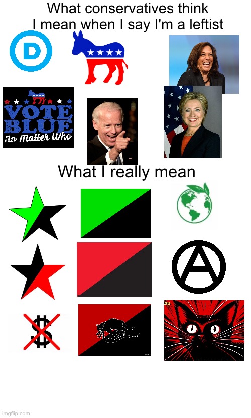 Leftist | What conservatives think I mean when I say I'm a leftist; What I really mean | image tagged in leftist,leftism,left wing | made w/ Imgflip meme maker