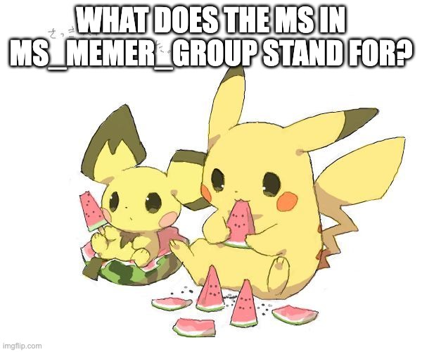 Pichu and Pikachu eating watermelons | WHAT DOES THE MS IN MS_MEMER_GROUP STAND FOR? | image tagged in pichu and pikachu eating watermelons | made w/ Imgflip meme maker