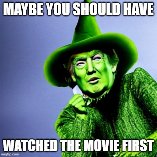 MAYBE YOU SHOULD HAVE WATCHED THE MOVIE FIRST | made w/ Imgflip meme maker