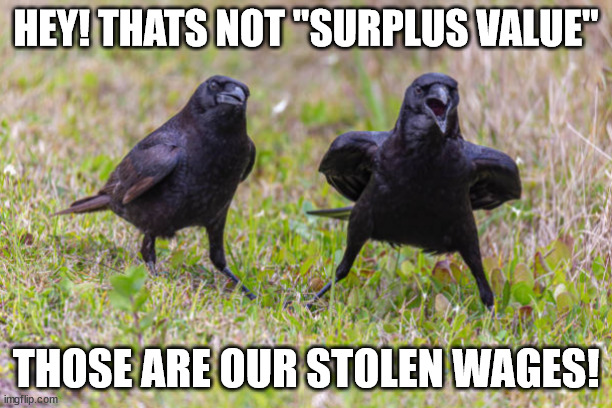 Crow Unionists | HEY! THATS NOT "SURPLUS VALUE"; THOSE ARE OUR STOLEN WAGES! | image tagged in concerned corvids | made w/ Imgflip meme maker